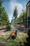 Fumigadora de niebla SG 230 Stihl — imagen 2 de 2