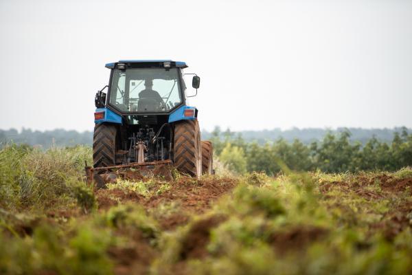 Agrotecnico