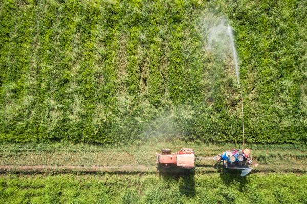 Agrotecnico