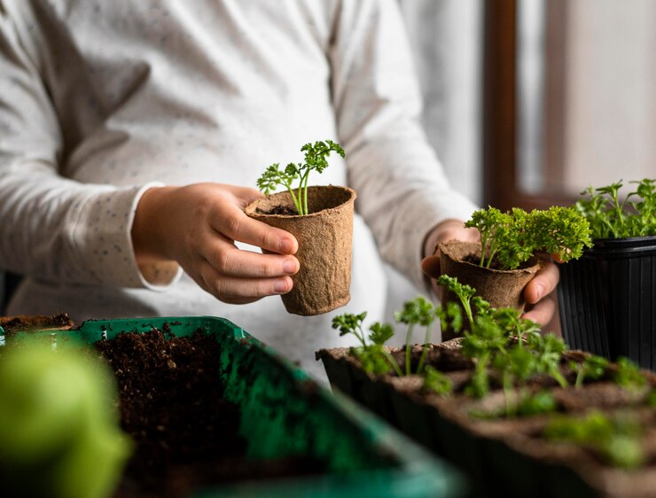 AGRICULTURA REGENERATIVA: LA PROMESA DE RESTAURAR LOS SUELOS