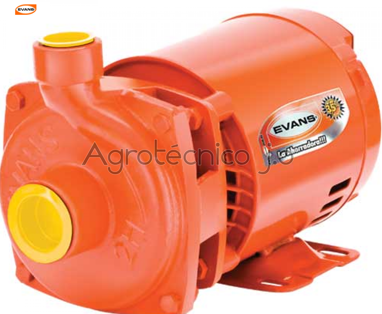 Motobomba Evans 4HME150