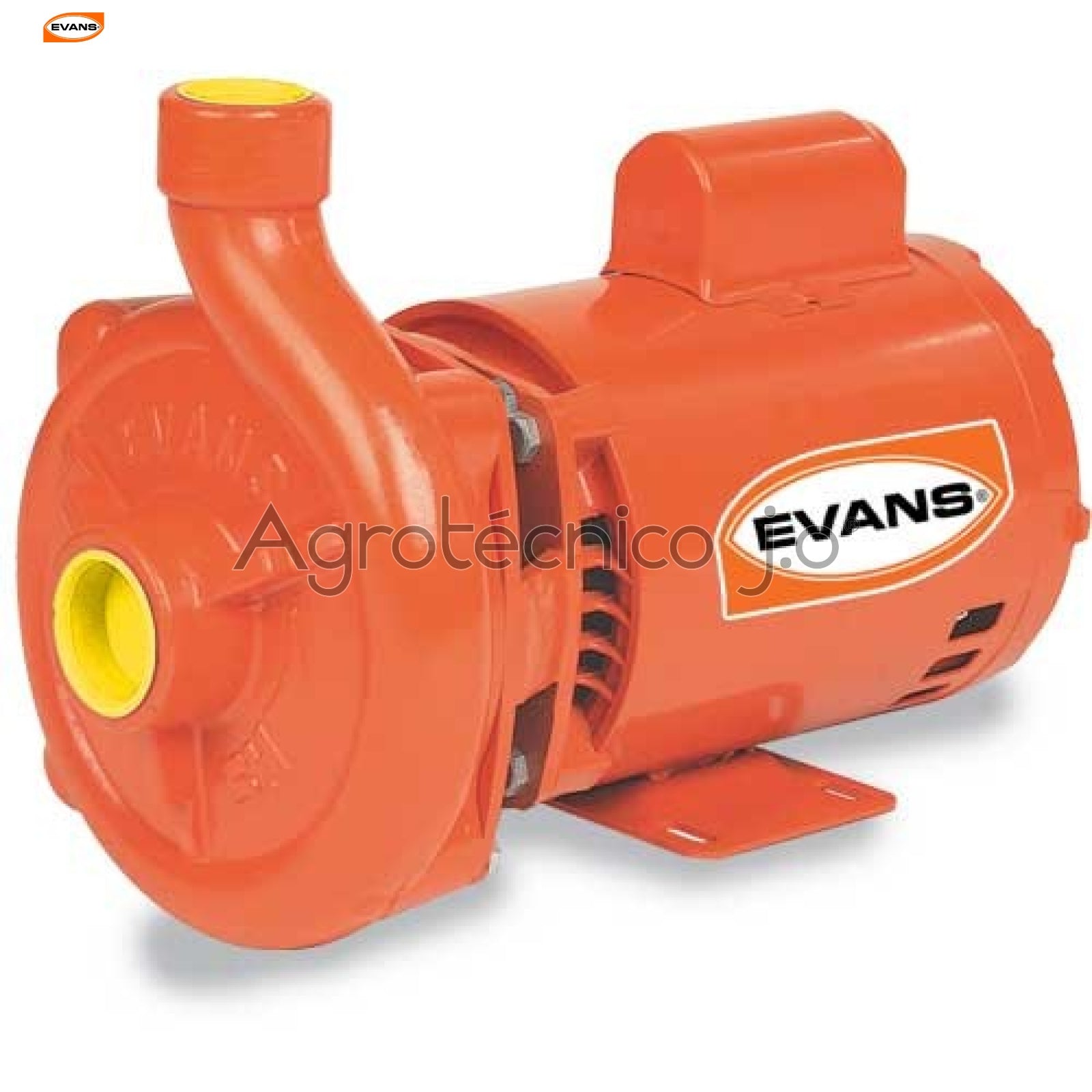 Motobomba Evans 6HME300