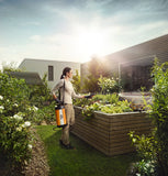 Fumigadora SG 31 Stihl — imagen 3 de 3
