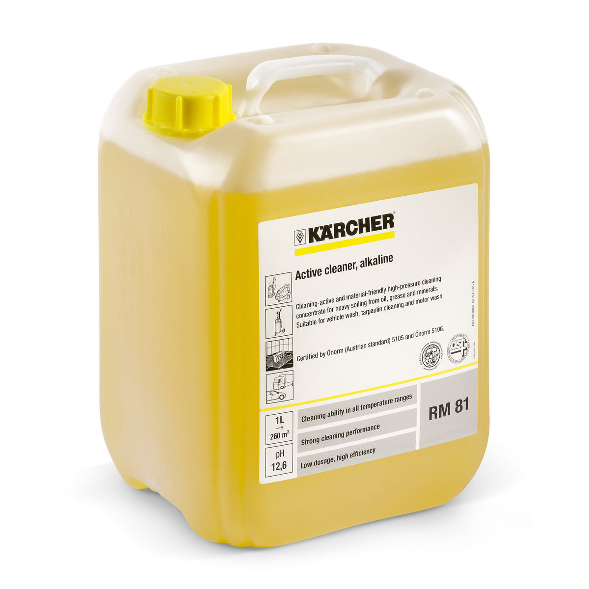 Detergente Kärcher RM 81 X 5 Litros