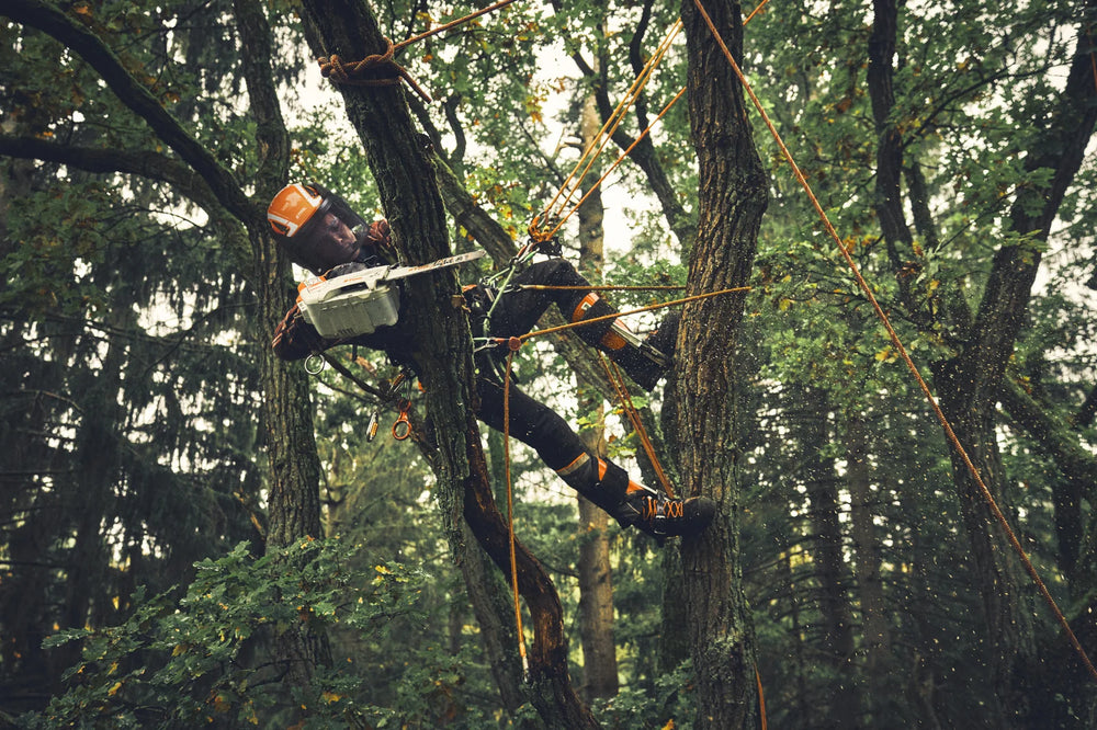 Motosierra MSA 194 T Stihl — imagen 6 de 6