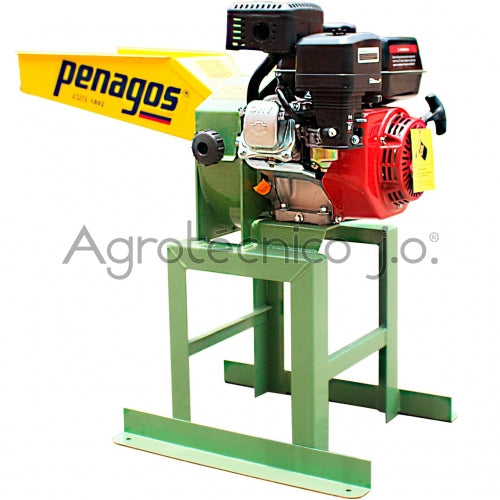 Picapasto PP-300 AMG (MOTOR INCLUIDO)