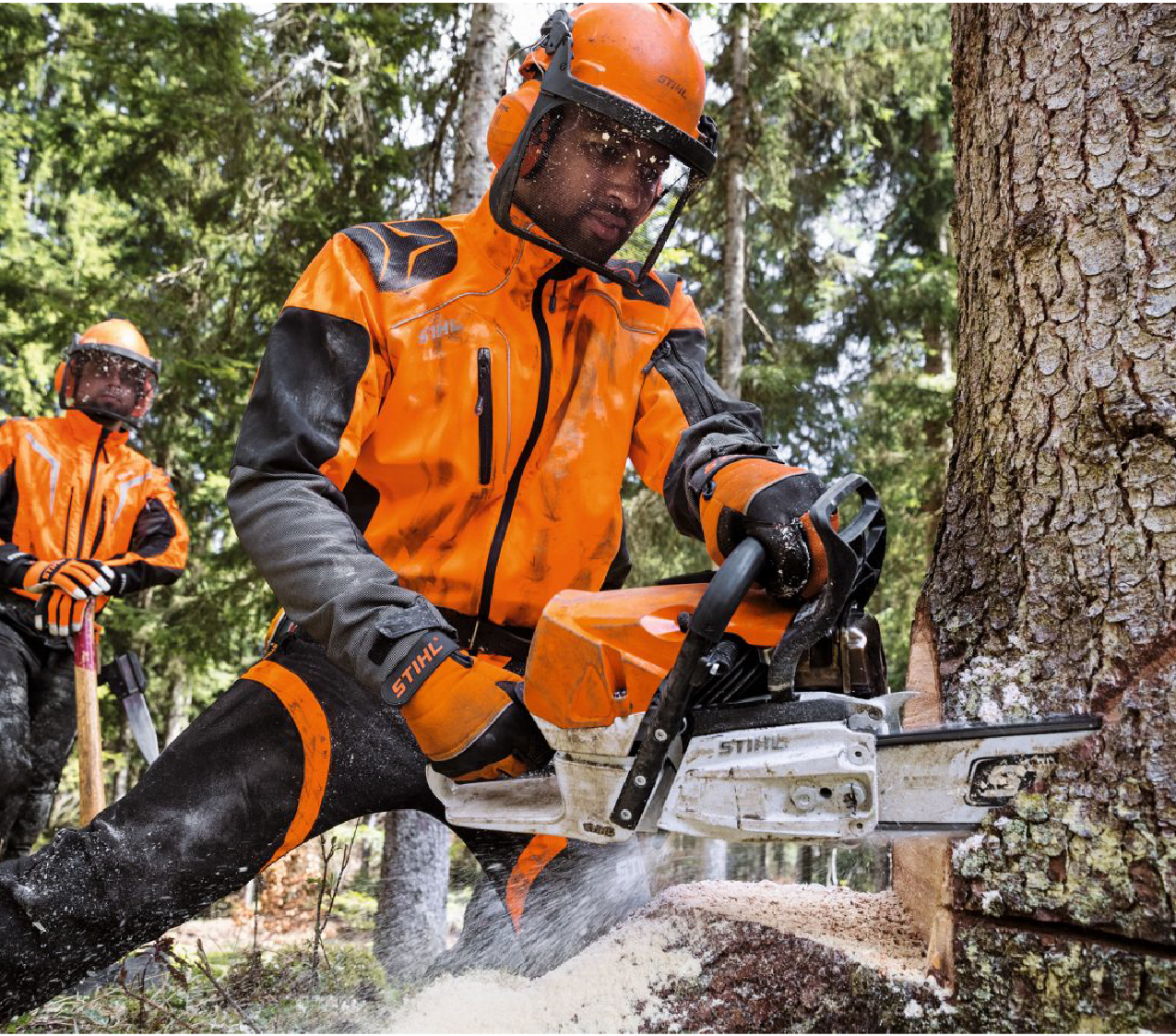 Motosierra MS 462 STIHL